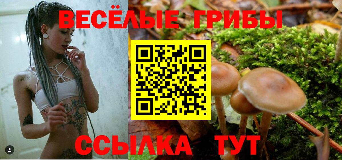 Псилоцибиновые грибы GOLDEN TEACHER Королёв
