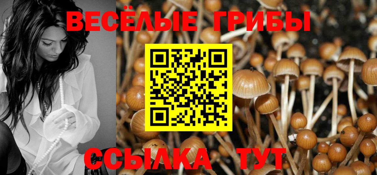 Королёв  Галлюциногенные грибы MAGIC MUSHROOMS  Псилоцибиновые грибы ЛСД  Вход с VPN 